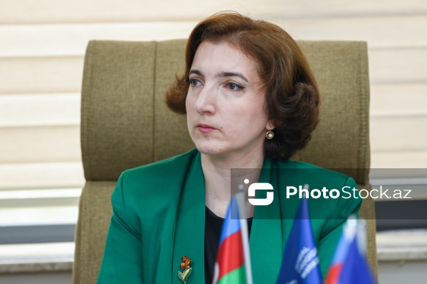 “Nəsillərarası həmrəylik ailə münasibətləri və dayanıqlı inkişaf kontekstində” mövzusunda dəyirmi masa