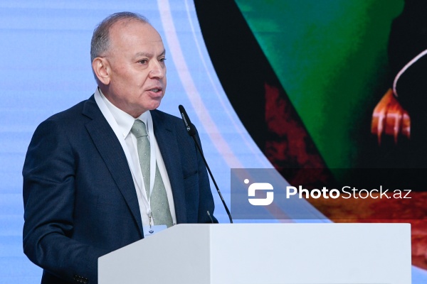 Ombudsmanların Beynəlxalq Bakı Sammiti