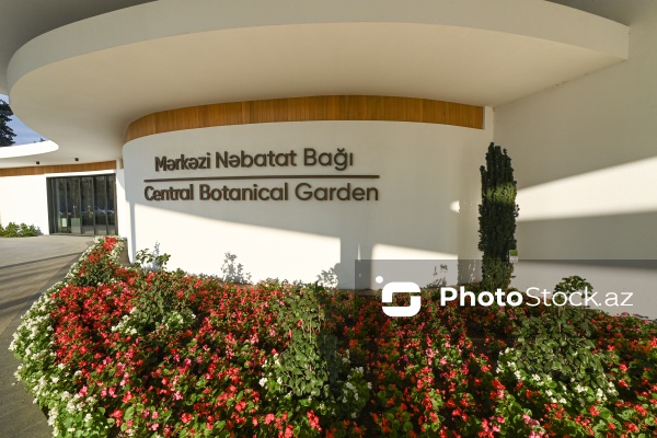 Payızın rənglərinə bürünən Mərkəzi Nəbatat Bağı