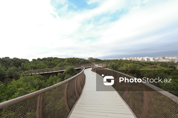 Payızın rənglərinə bürünən Mərkəzi Nəbatat Bağı