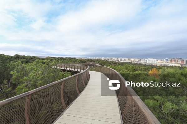 Payızın rənglərinə bürünən Mərkəzi Nəbatat Bağı