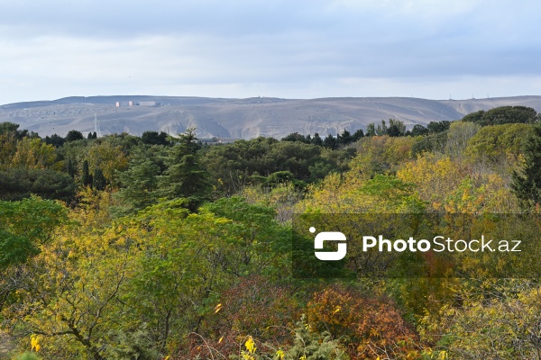 Payızın rənglərinə bürünən Mərkəzi Nəbatat Bağı