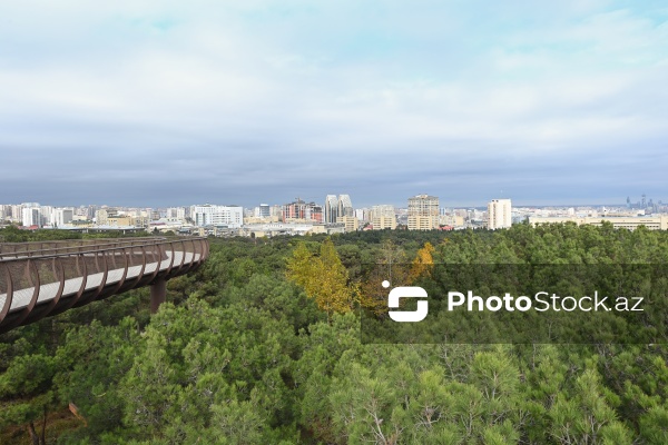 Payızın rənglərinə bürünən Mərkəzi Nəbatat Bağı