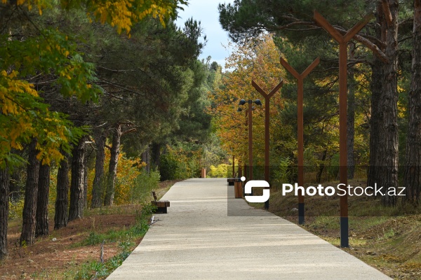 Payızın rənglərinə bürünən Mərkəzi Nəbatat Bağı