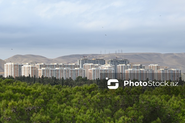 Payızın rənglərinə bürünən Mərkəzi Nəbatat Bağı