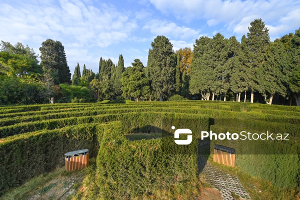 Payızın rənglərinə bürünən Mərkəzi Nəbatat Bağı