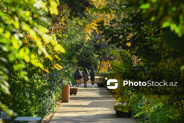 Payızın rənglərinə bürünən Mərkəzi Nəbatat Bağı