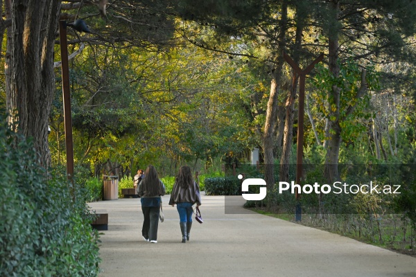 Payızın rənglərinə bürünən Mərkəzi Nəbatat Bağı