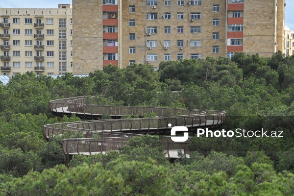 Payızın rənglərinə bürünən Mərkəzi Nəbatat Bağı