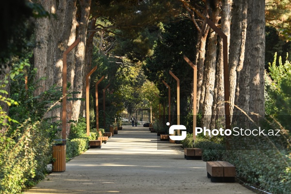 Payızın rənglərinə bürünən Mərkəzi Nəbatat Bağı