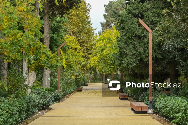 Payızın rənglərinə bürünən Mərkəzi Nəbatat Bağı