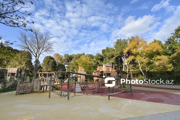 Payızın rənglərinə bürünən Mərkəzi Nəbatat Bağı