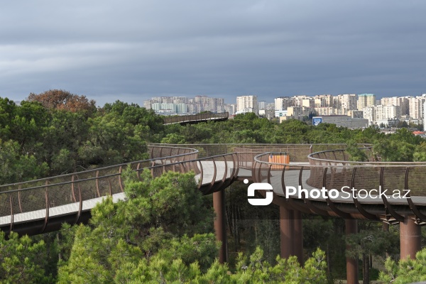 Payızın rənglərinə bürünən Mərkəzi Nəbatat Bağı