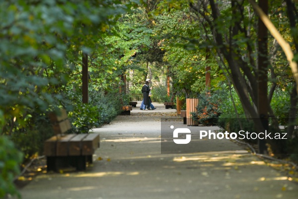 Payızın rənglərinə bürünən Mərkəzi Nəbatat Bağı