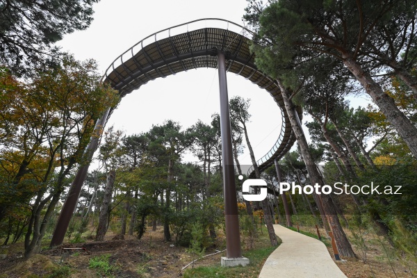 Payızın rənglərinə bürünən Mərkəzi Nəbatat Bağı