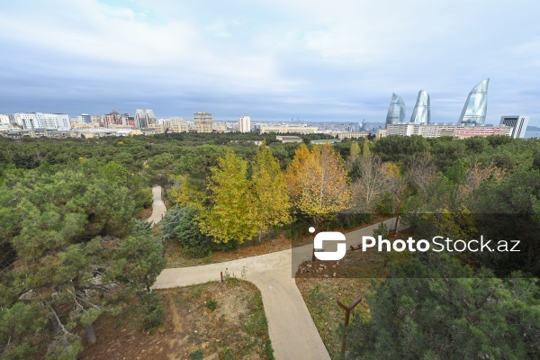 Payızın rənglərinə bürünən Mərkəzi Nəbatat Bağı