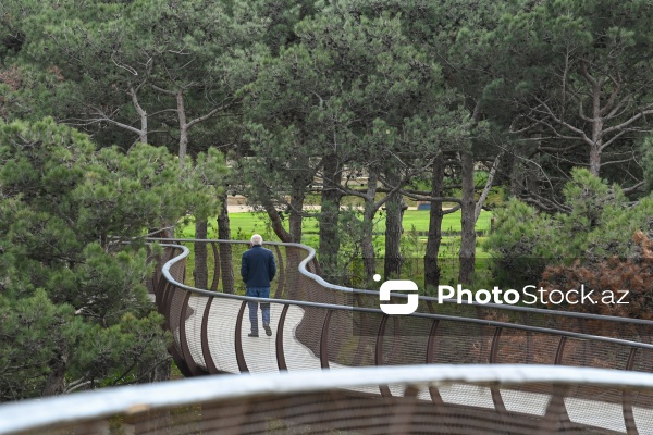 Payızın rənglərinə bürünən Mərkəzi Nəbatat Bağı