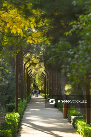 Payızın rənglərinə bürünən Mərkəzi Nəbatat Bağı