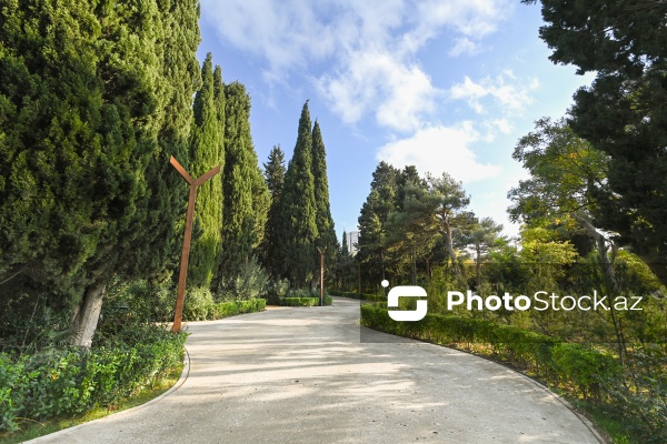 Payızın rənglərinə bürünən Mərkəzi Nəbatat Bağı