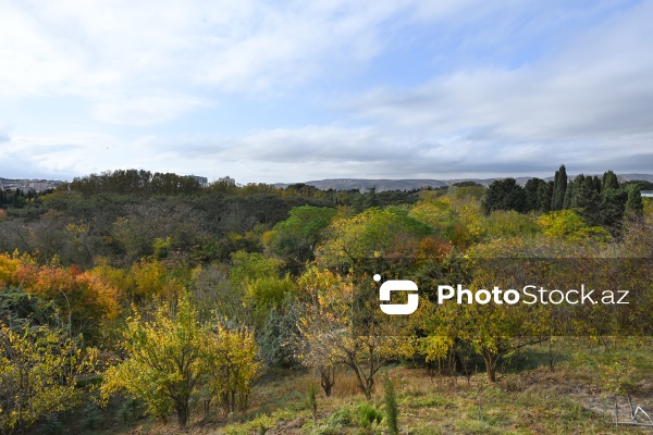 Payızın rənglərinə bürünən Mərkəzi Nəbatat Bağı