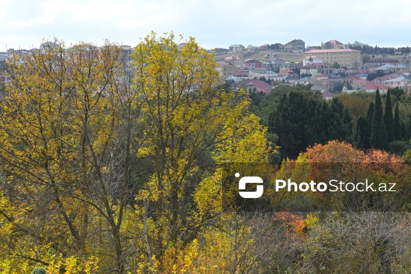 Payızın rənglərinə bürünən Mərkəzi Nəbatat Bağı