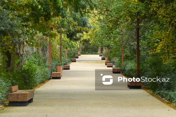 Payızın rənglərinə bürünən Mərkəzi Nəbatat Bağı