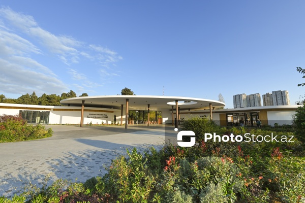 Payızın rənglərinə bürünən Mərkəzi Nəbatat Bağı