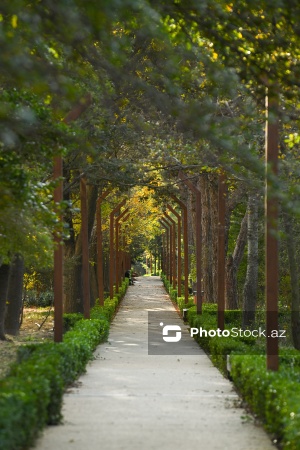 Payızın rənglərinə bürünən Mərkəzi Nəbatat Bağı
