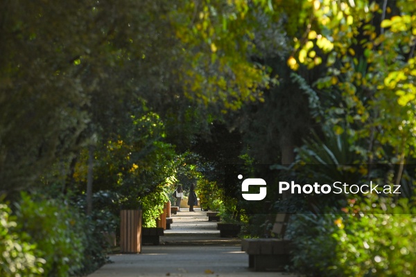 Payızın rənglərinə bürünən Mərkəzi Nəbatat Bağı