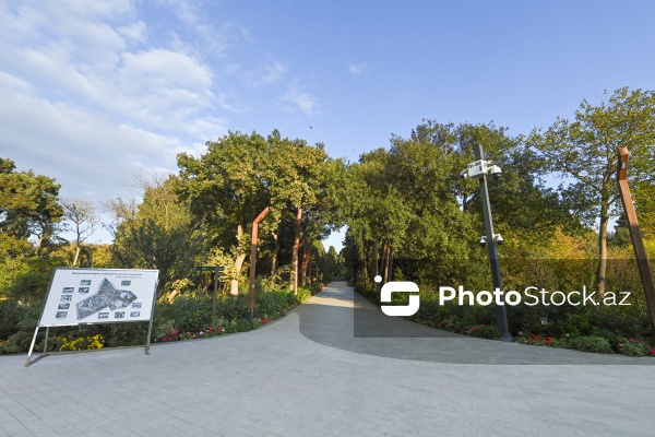 Payızın rənglərinə bürünən Mərkəzi Nəbatat Bağı