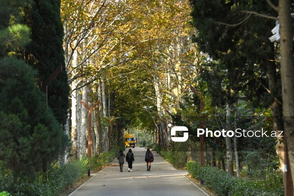 Payızın rənglərinə bürünən Mərkəzi Nəbatat Bağı