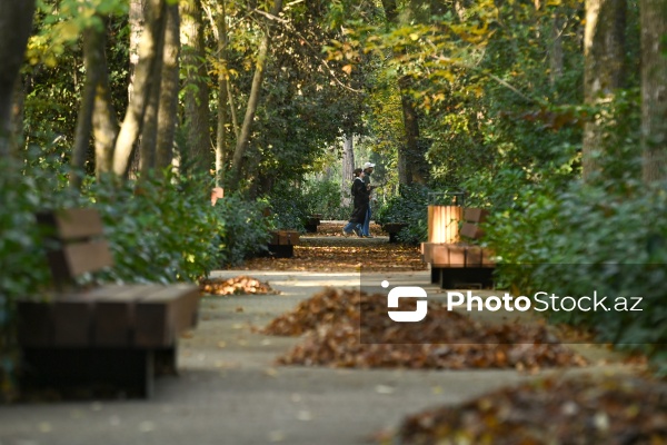 Payızın rənglərinə bürünən Mərkəzi Nəbatat Bağı