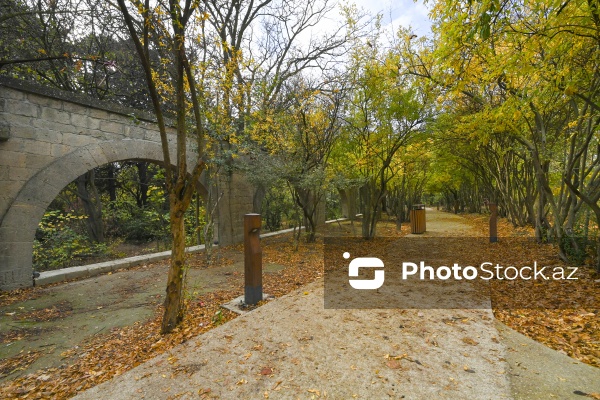 Payızın rənglərinə bürünən Mərkəzi Nəbatat Bağı