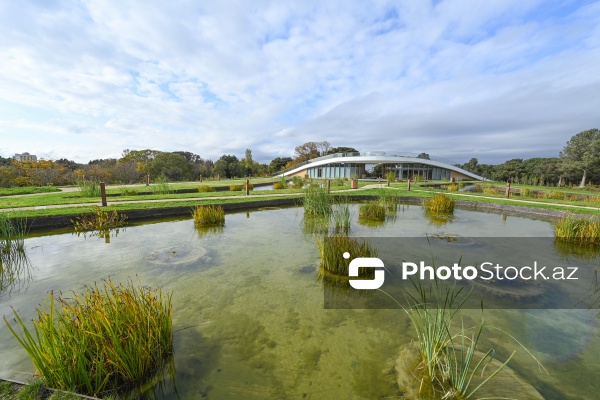 Payızın rənglərinə bürünən Mərkəzi Nəbatat Bağı