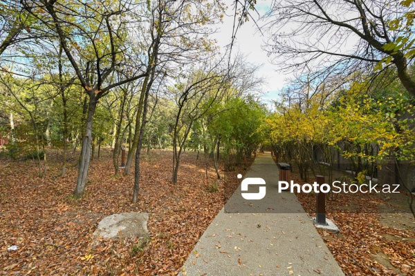 Payızın rənglərinə bürünən Mərkəzi Nəbatat Bağı