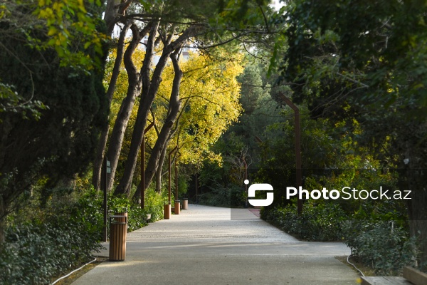 Payızın rənglərinə bürünən Mərkəzi Nəbatat Bağı