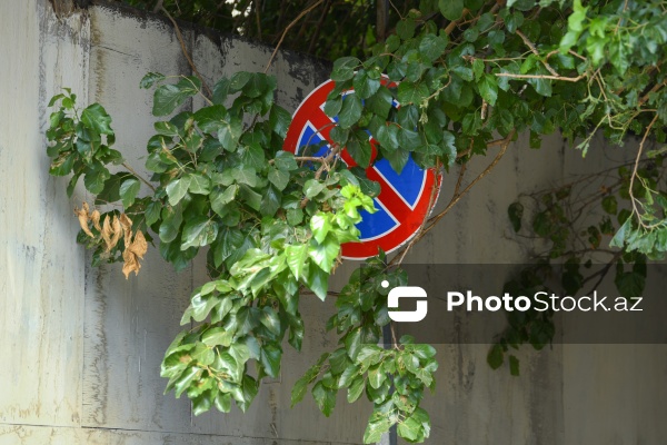 Paytaxt Bakıda baxımsız qalmış yol nişanları