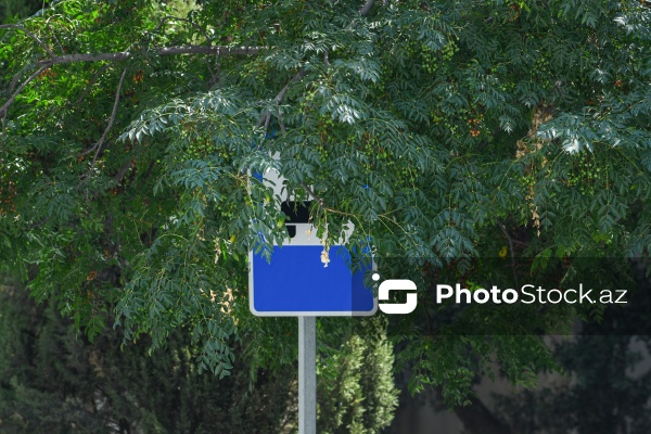 Paytaxt Bakıda baxımsız qalmış yol nişanları