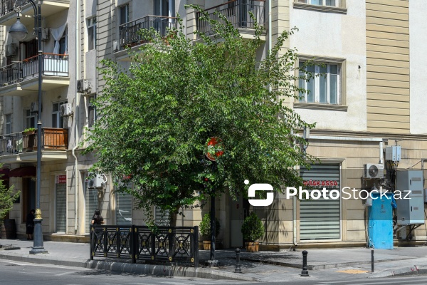 Paytaxt Bakıda baxımsız qalmış yol nişanları