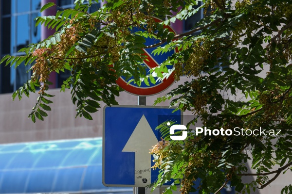 Paytaxt Bakıda baxımsız qalmış yol nişanları