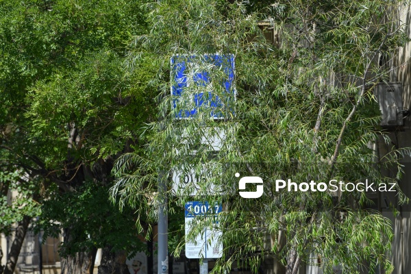 Paytaxt Bakıda baxımsız qalmış yol nişanları