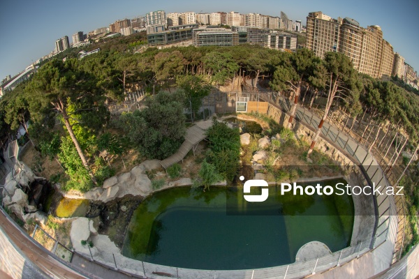 Paytaxtın Nərimanov rayonunda yerləşən Bakı Zooloji Parkı