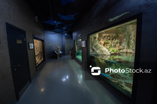 Paytaxtın Nərimanov rayonunda yerləşən Bakı Zooloji Parkı