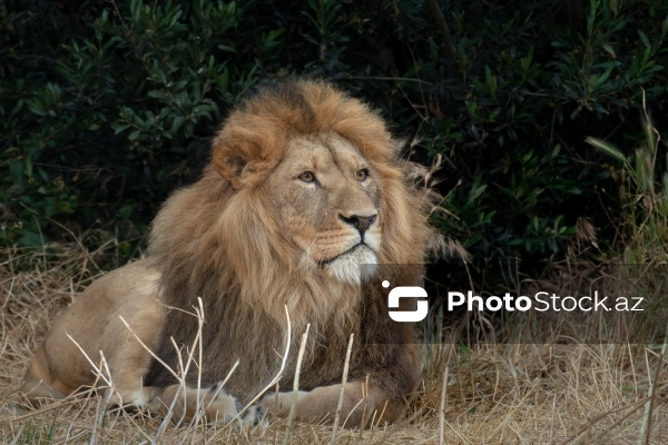 Paytaxtın Nərimanov rayonunda yerləşən Bakı Zooloji Parkı