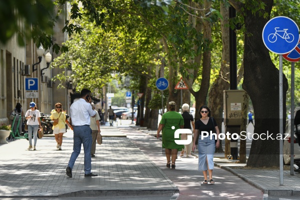 Piyadaların və avtomobillərin istifadəsində olan velosiped zolaqları