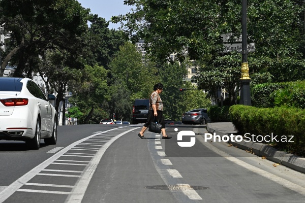 Piyadaların və avtomobillərin istifadəsində olan velosiped zolaqları