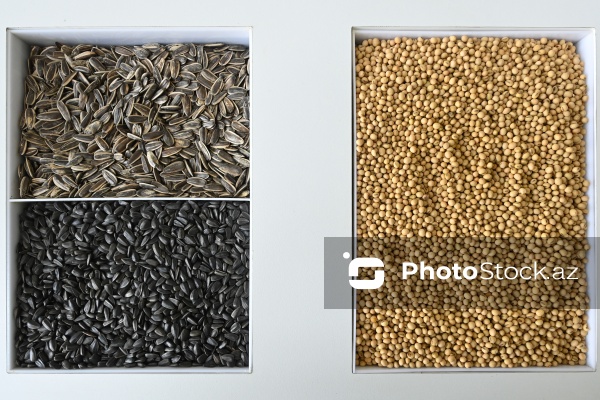 Sabirabad Sənaye Məhəlləsinə təşkil olunan mediatur