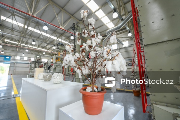 Sabirabad Sənaye Məhəlləsinə təşkil olunan mediatur