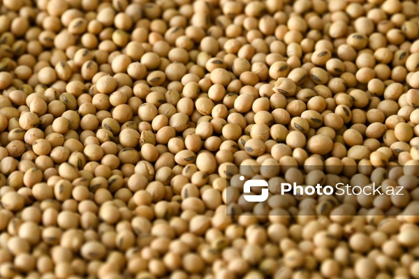 Sabirabad Sənaye Məhəlləsinə təşkil olunan mediatur