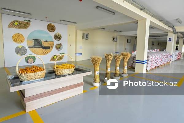 Sabirabad Sənaye Məhəlləsinə təşkil olunan mediatur